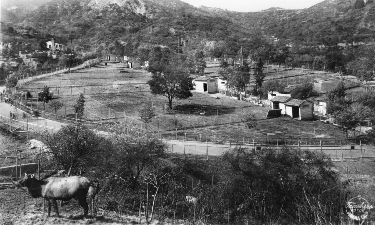 Vintage photo of animal enclosures carved into a hillside